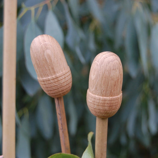 Oak Acorn Garden Cane Caps