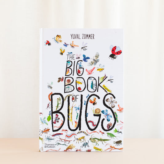 The Big Book of Bugs